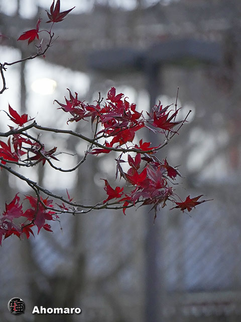 写真00