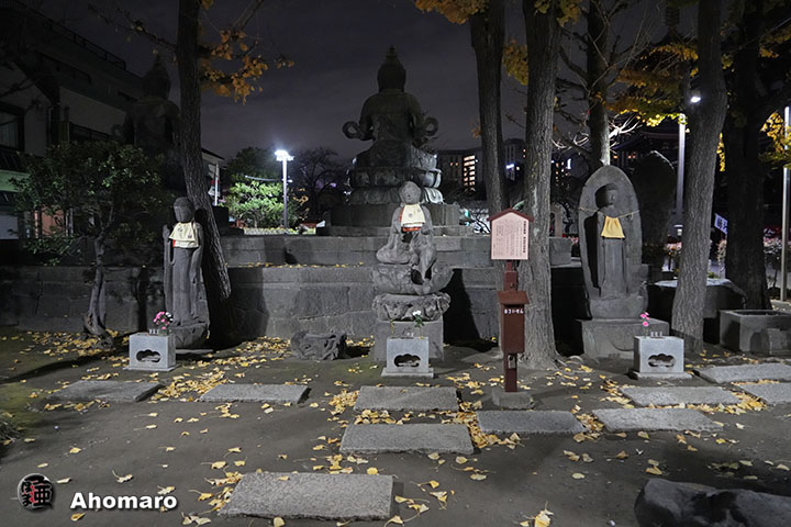 写真00