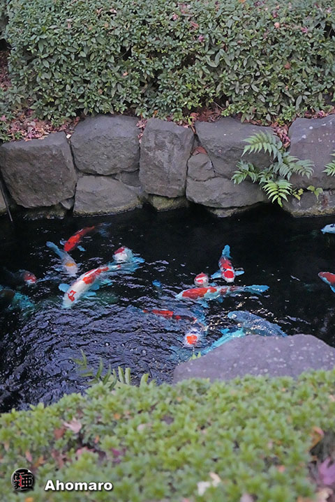 写真00