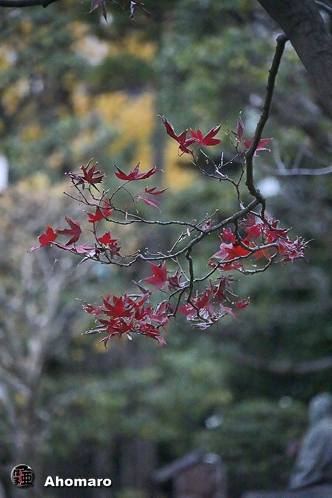 写真00