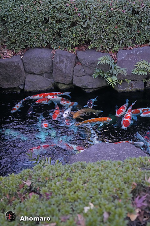 写真00