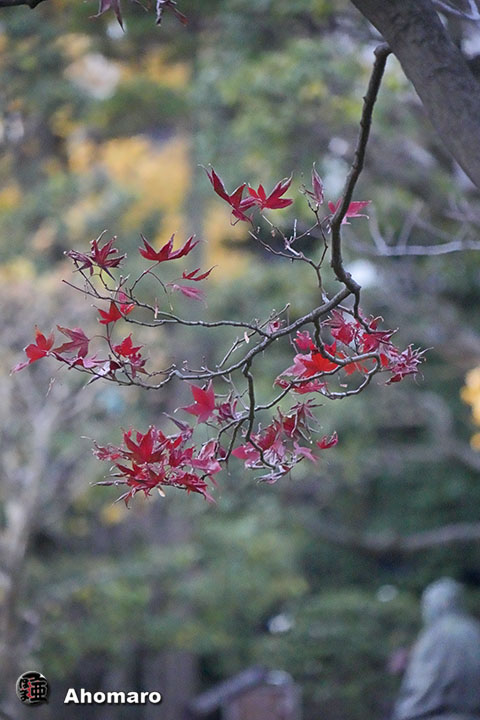 写真00