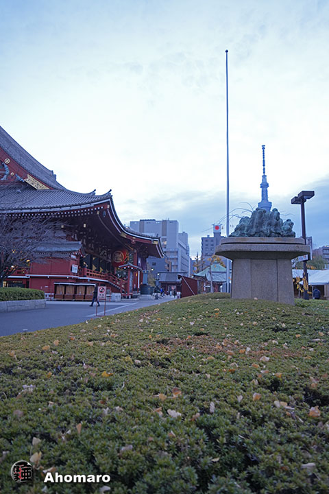 写真00