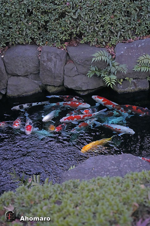 写真00