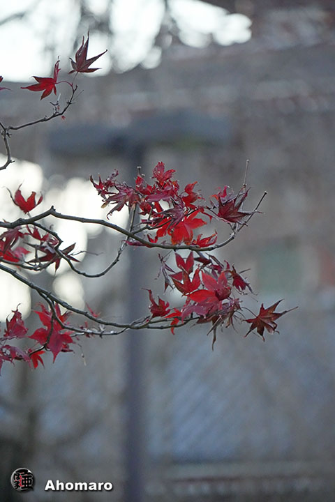 写真00