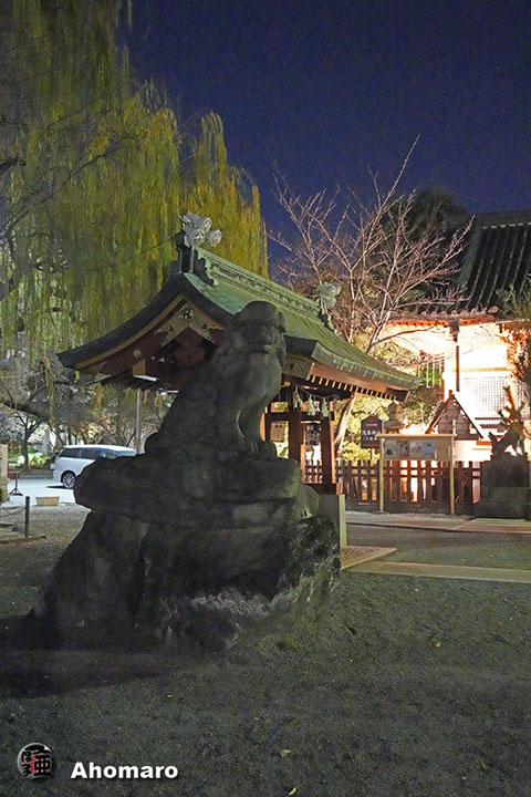 写真00