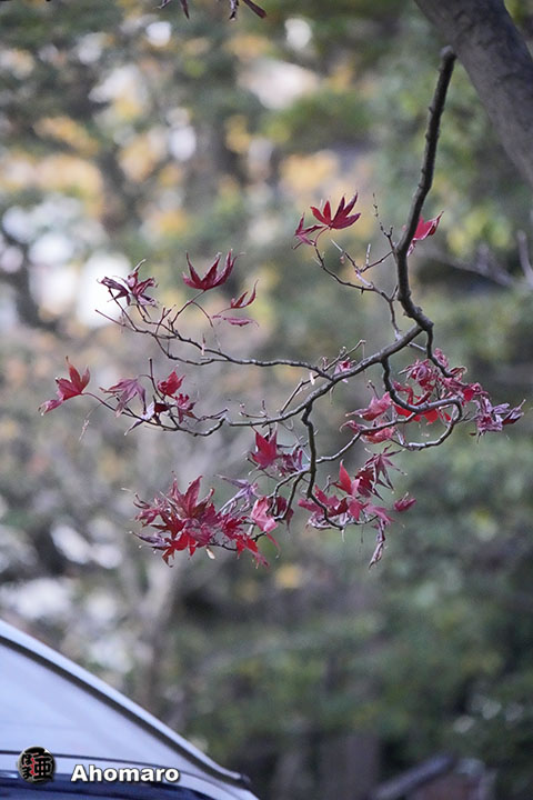 写真00