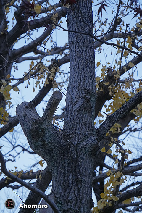 写真00