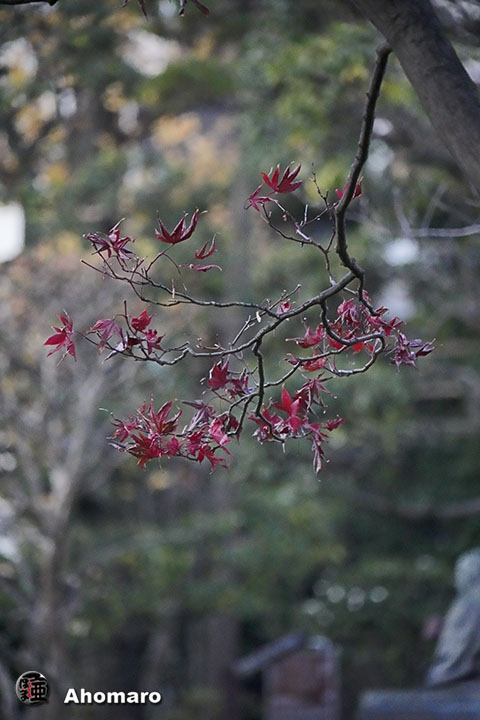 写真00