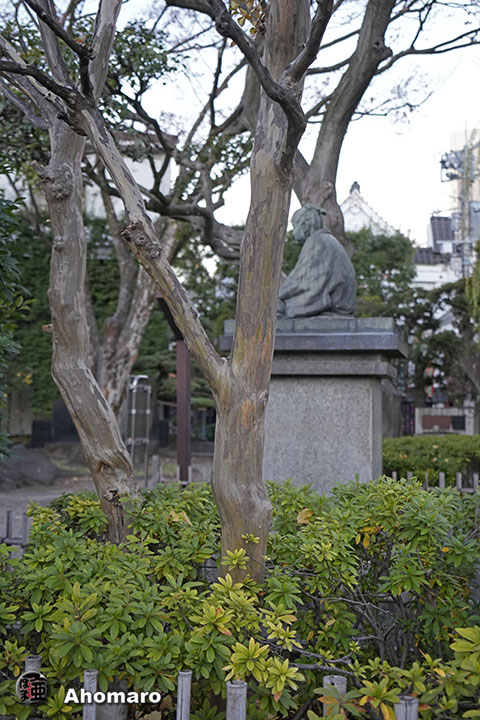 写真00