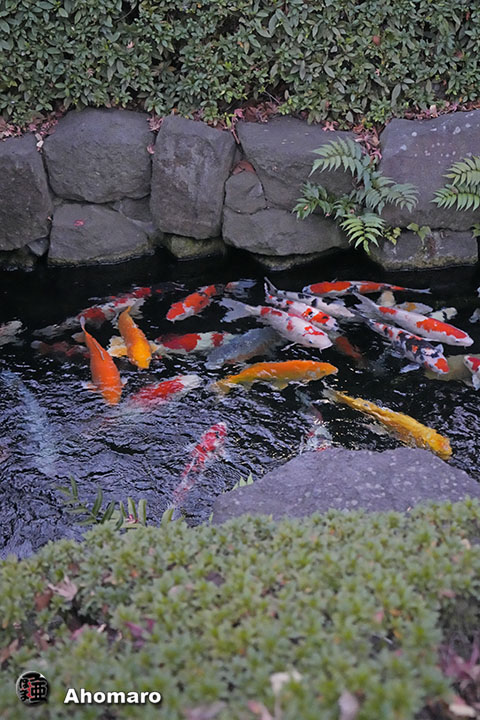 写真00