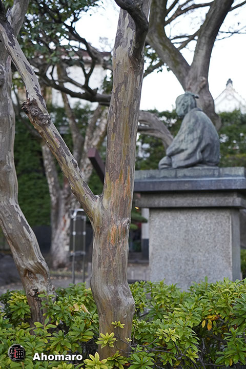 写真00