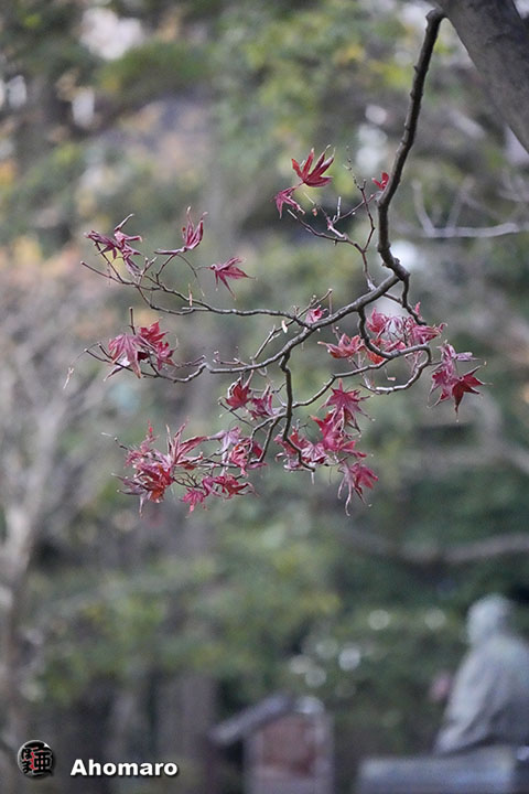 写真00