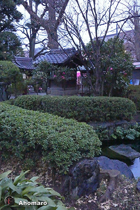 写真00