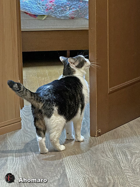 ʐ^00