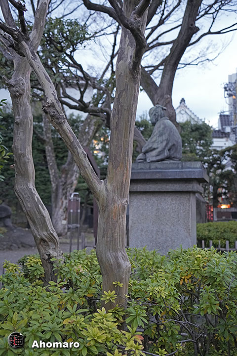 写真00
