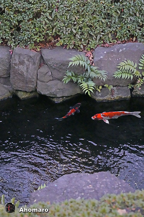 写真00