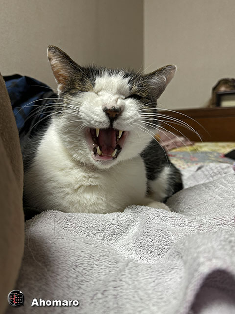 ʐ^00