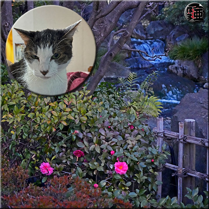 Lʐ^