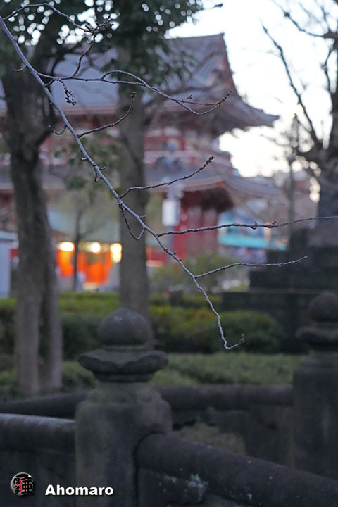 ʐ^00