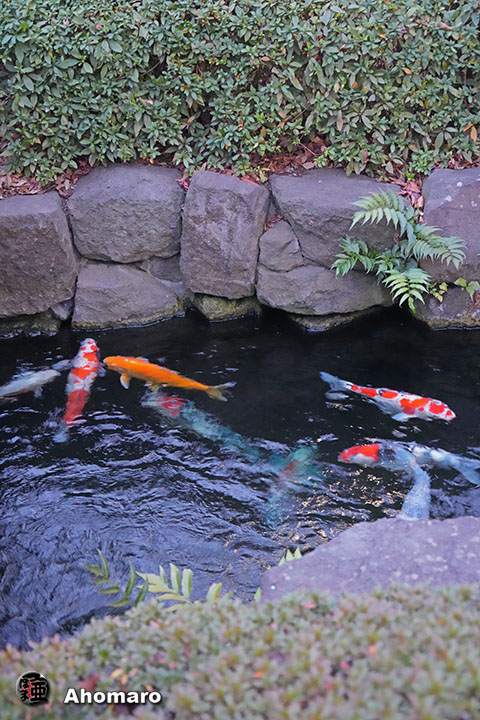 写真00