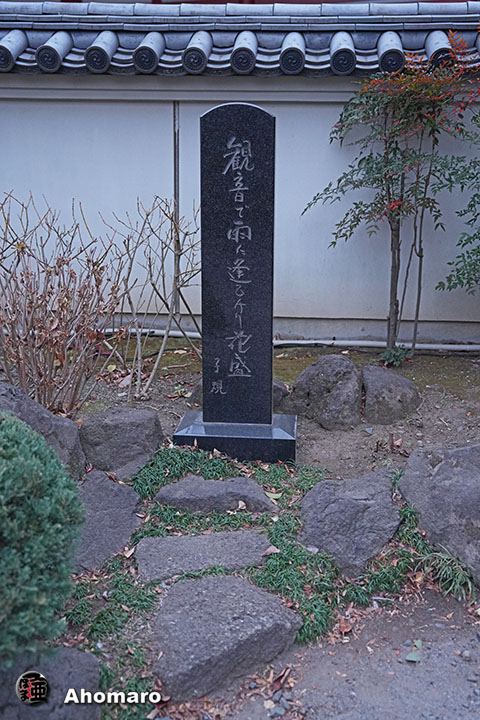 ʐ^00