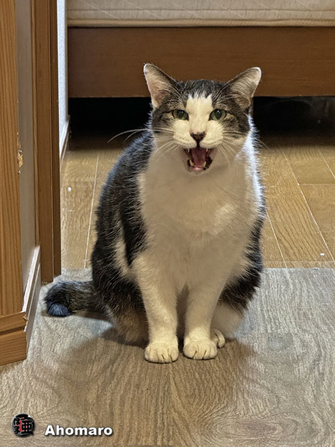 ʐ^00