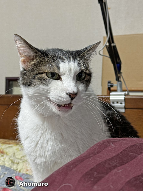 ʐ^00