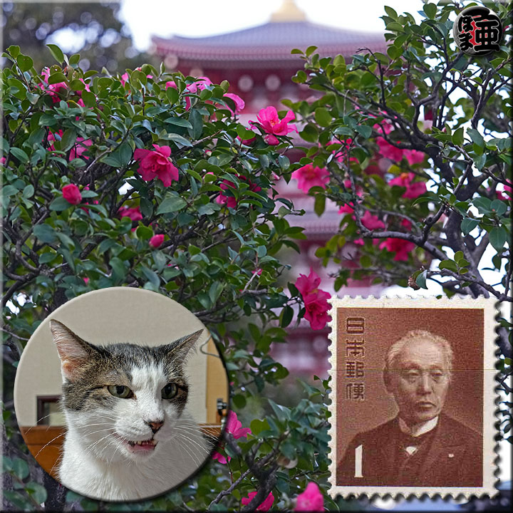 Lʐ^