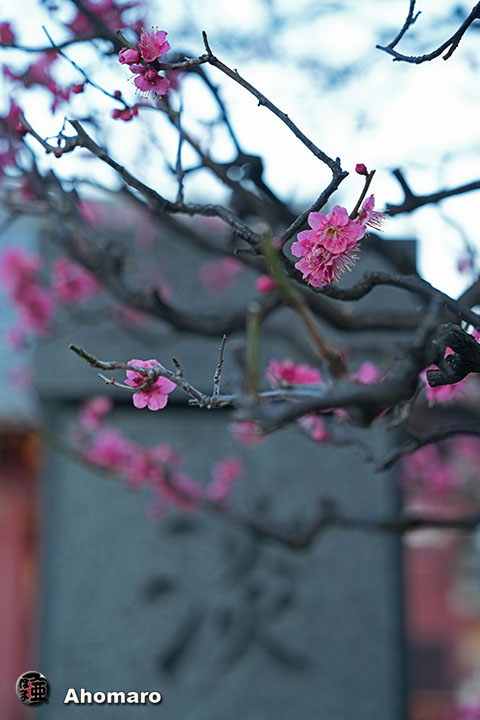 写真00