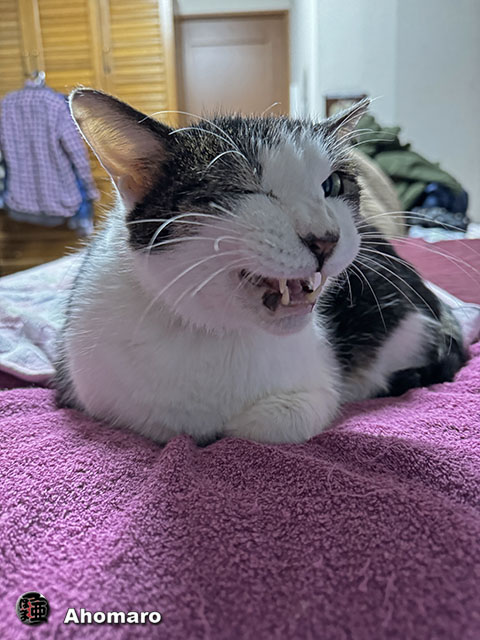 ʐ^00