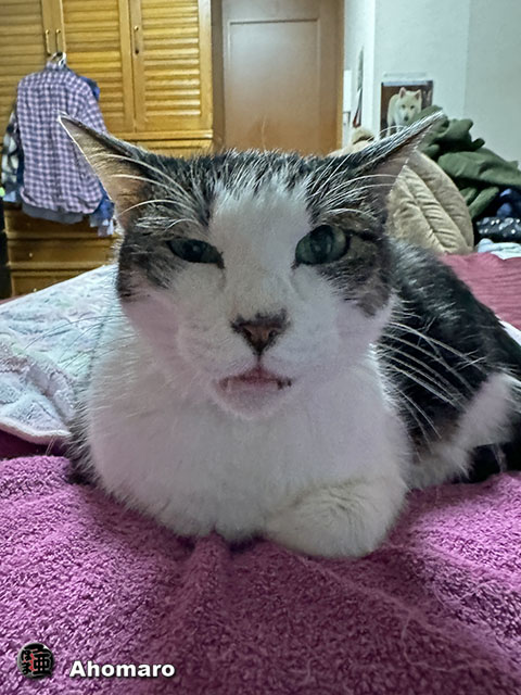 ʐ^00