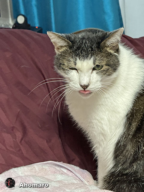 ʐ^00