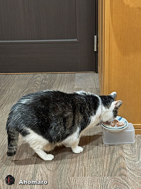 ʐ^00