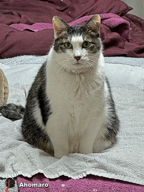 ʐ^00