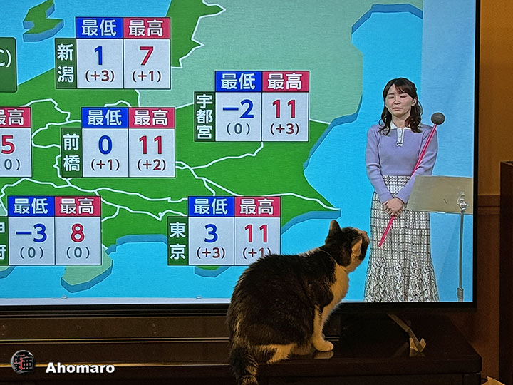 ʐ^00