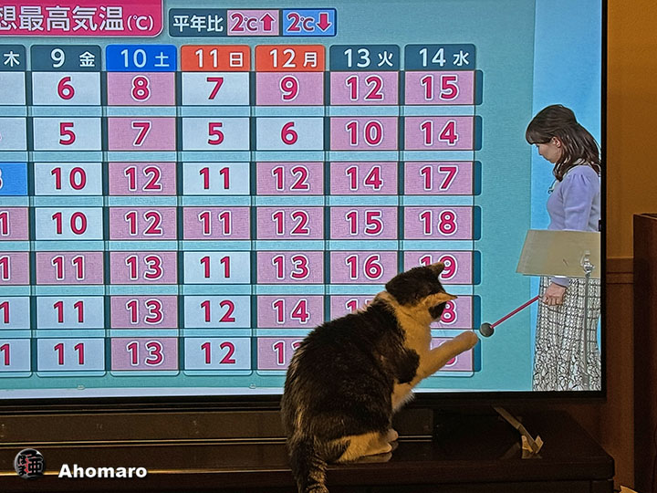 ʐ^00
