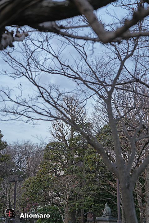 写真00