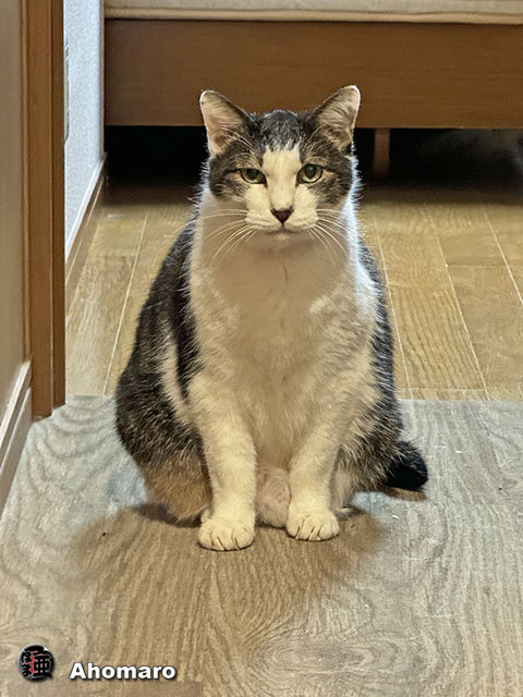 ʐ^00