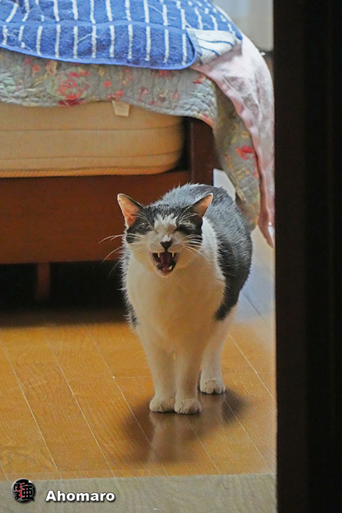 ʐ^00