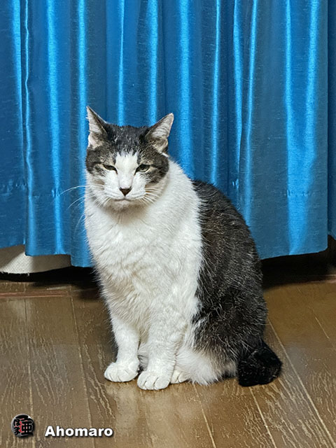 ʐ^00