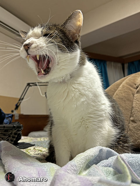 ʐ^00