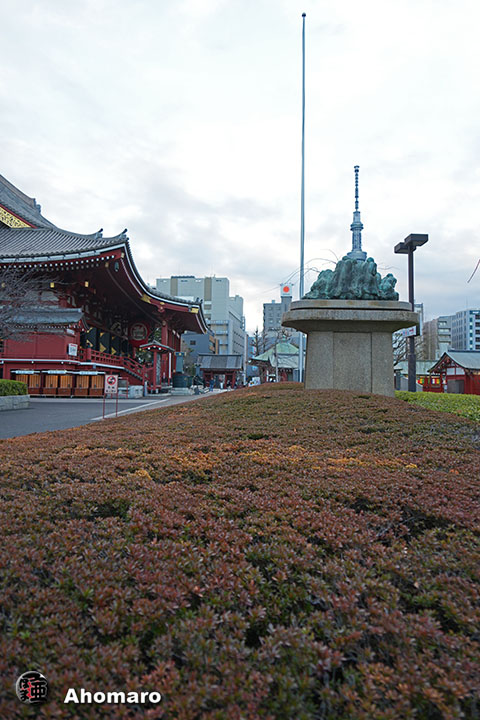 写真00