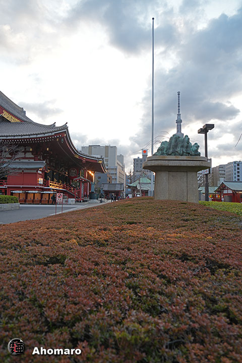 写真00