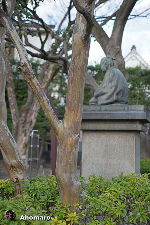 写真00