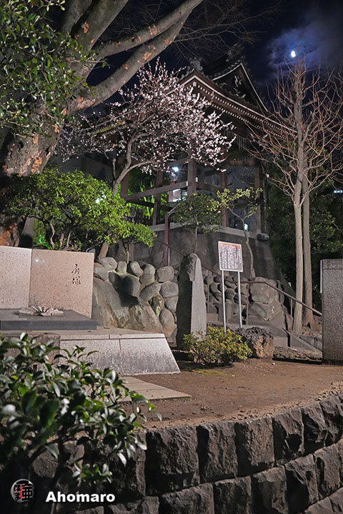 写真00
