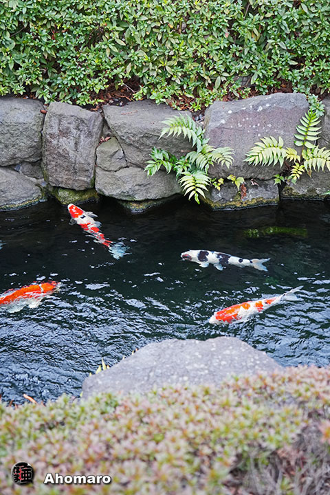 写真00