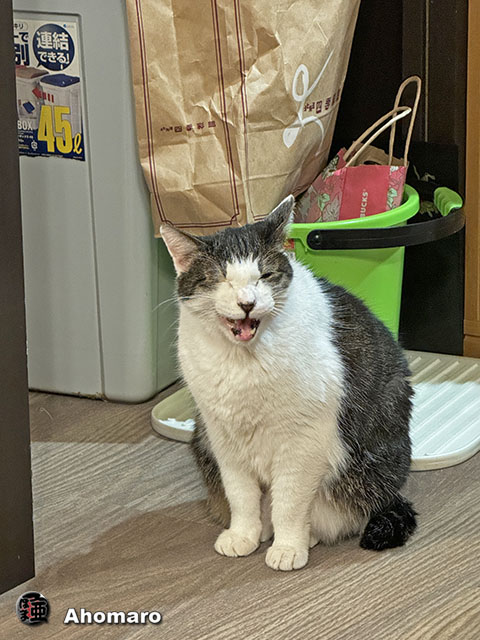 ʐ^00