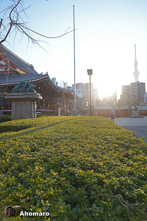写真00