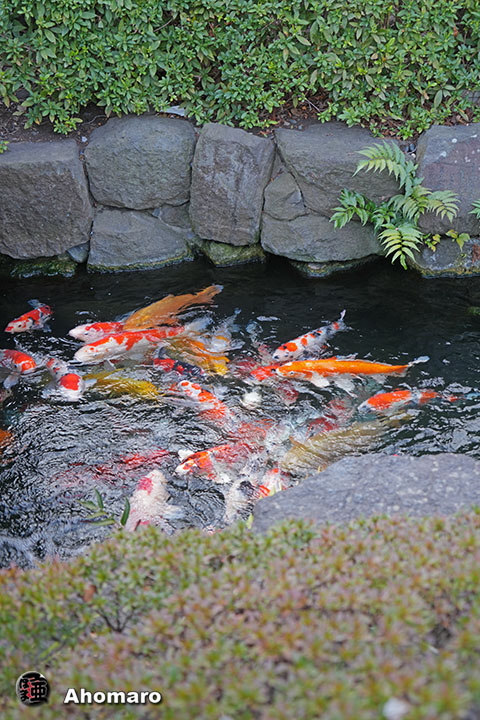 写真00